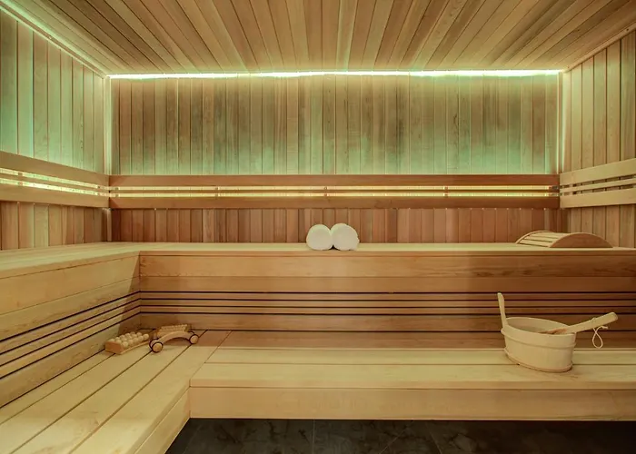 The Drus Luxury With And Indoor Pool Apartment *